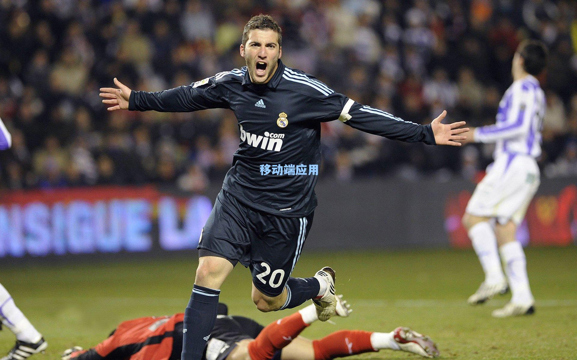 雄鹿鏖战加时险胜黄蜂 字母哥全能三双克努佩尔狂飙32分